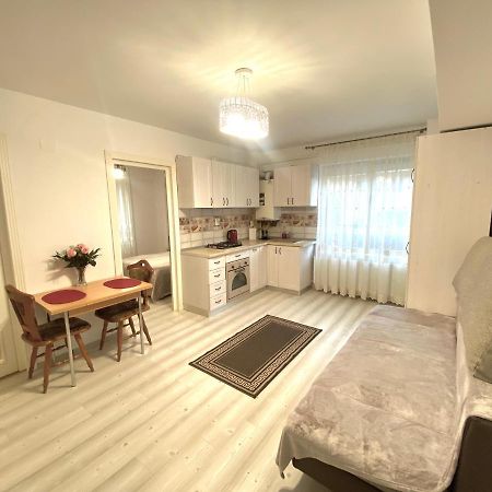 Apartament Sara Apartment Iasi Ngoại thất bức ảnh