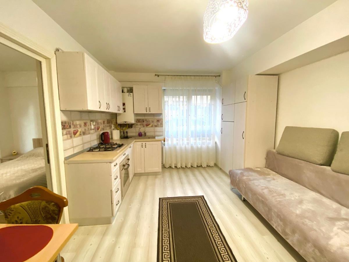 Apartament Sara Apartment Iasi Ngoại thất bức ảnh
